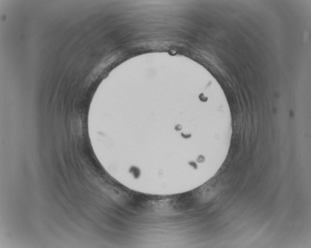 X0000069360120200606091611