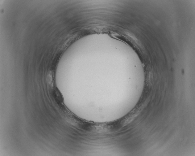 X0000069360121200606091611