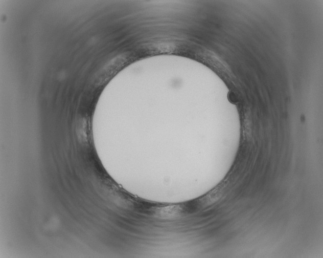 X0000069360122200606091611