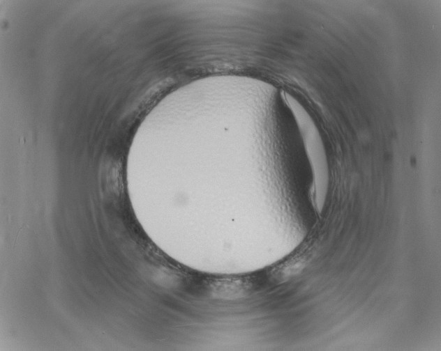 X0000069360123200606091611