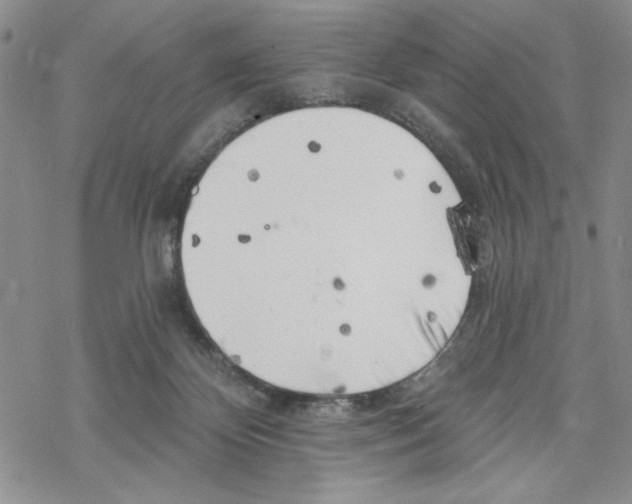 X0000069360124200606091611