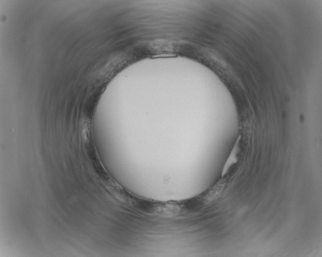 X0000069360125200606091611