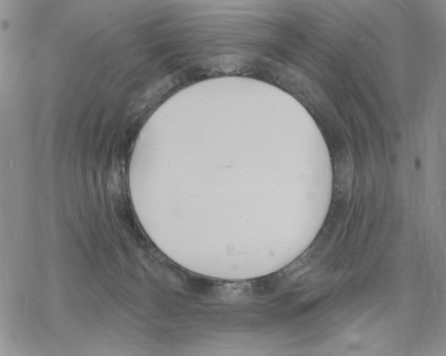 X0000069360126200606091611