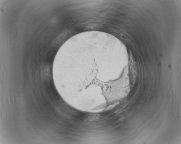 X0000069360127200606091610