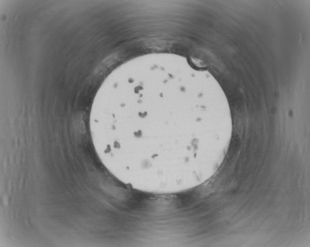 X0000069360128200606091610