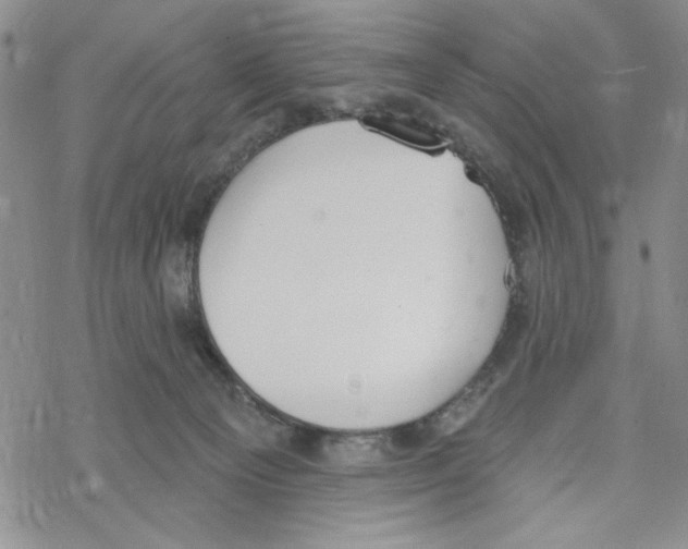 X0000069360129200606091610