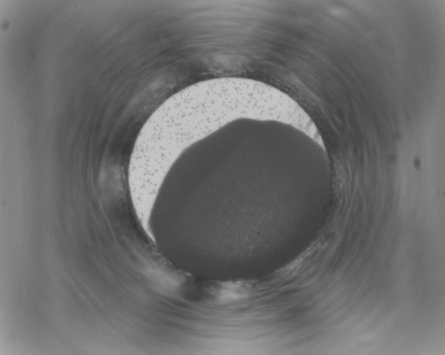 X0000069360130200606091610