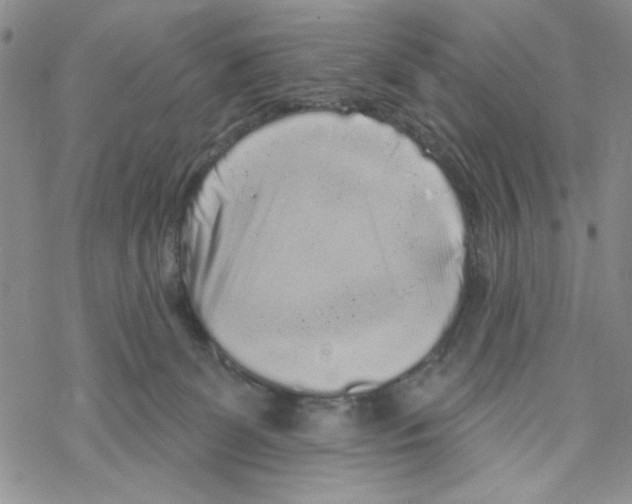 X0000069360131200606091610