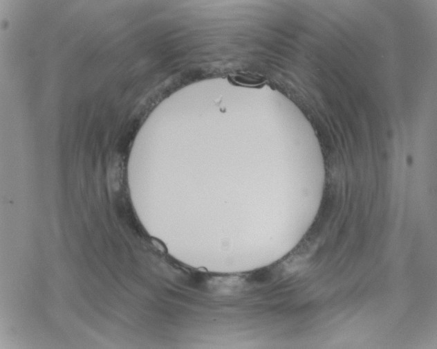 X0000069360133200606091610