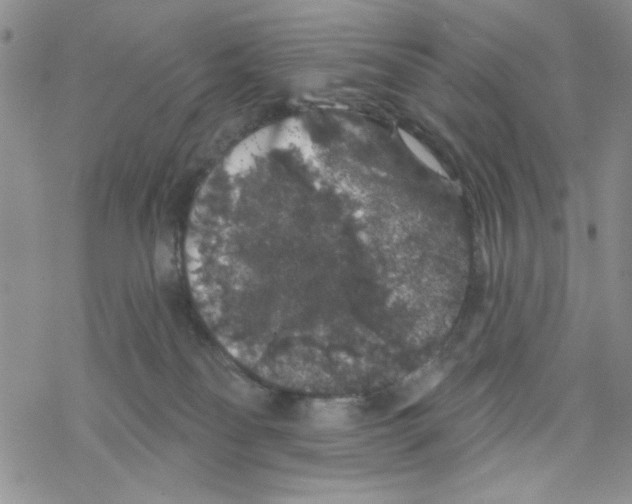 X0000069360134200606091610