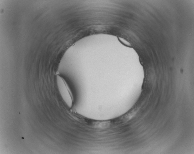 X0000069360135200606091610