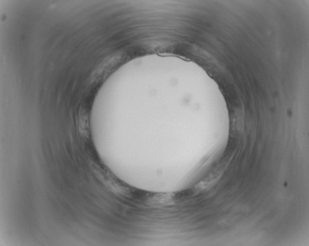 X0000069360138200606091610