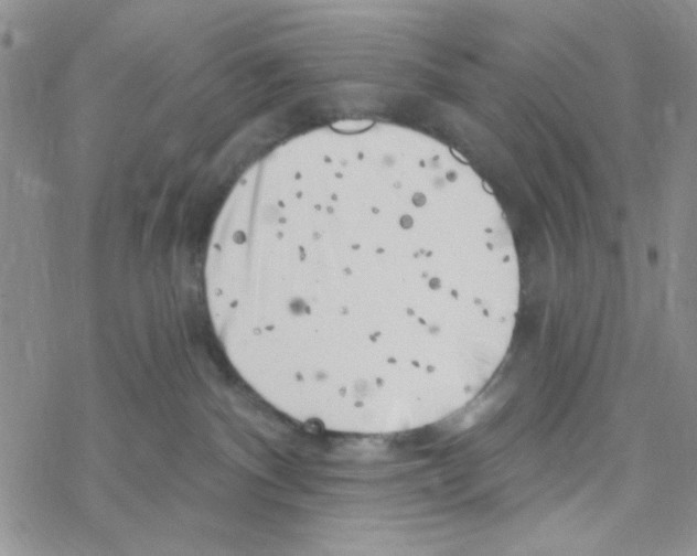 X0000069360140200606091610