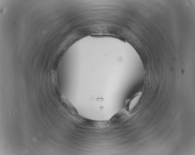 X0000069360141200606091610