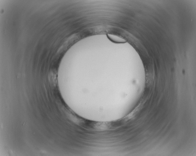 X0000069360142200606091610