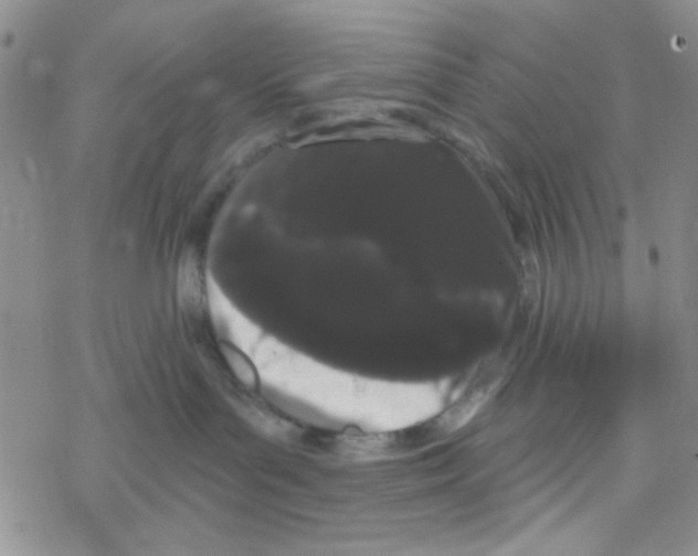 X0000069360143200606091610