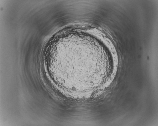 X0000069360145200606091609