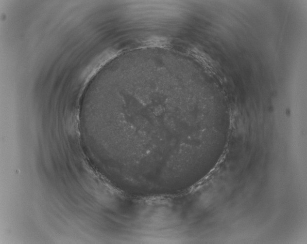 X0000069360146200606091609