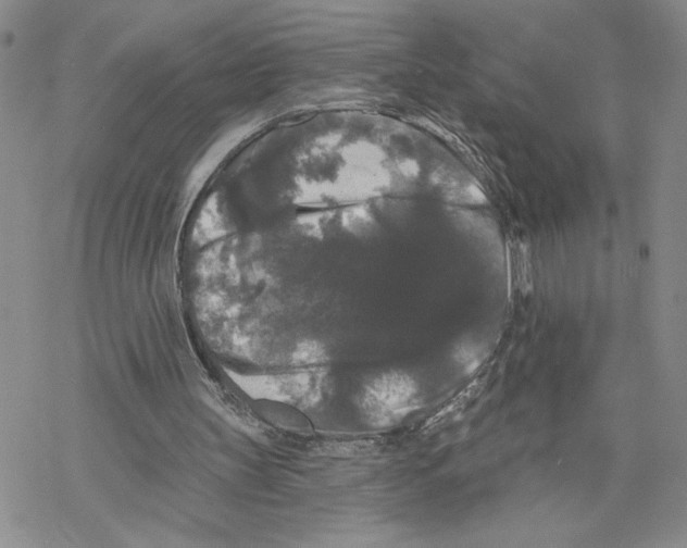 X0000069360147200606091609