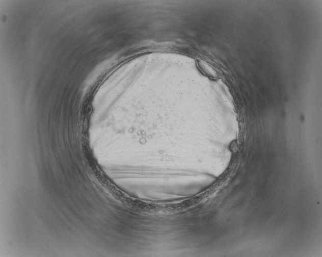 X0000069360149200606091610