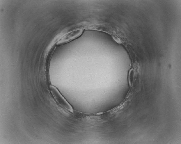 X0000069360150200606091610