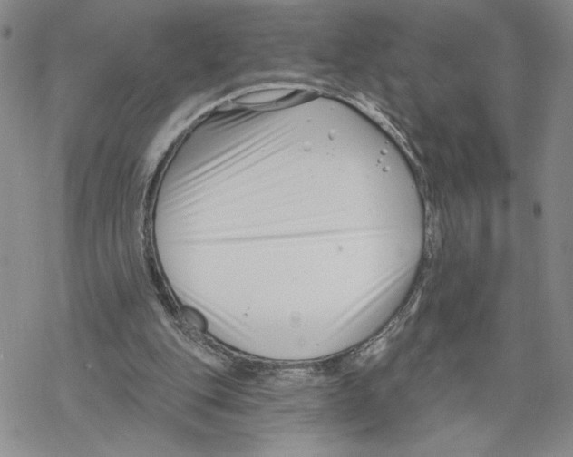 X0000069360151200606091610