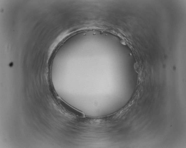 X0000069360152200606091610