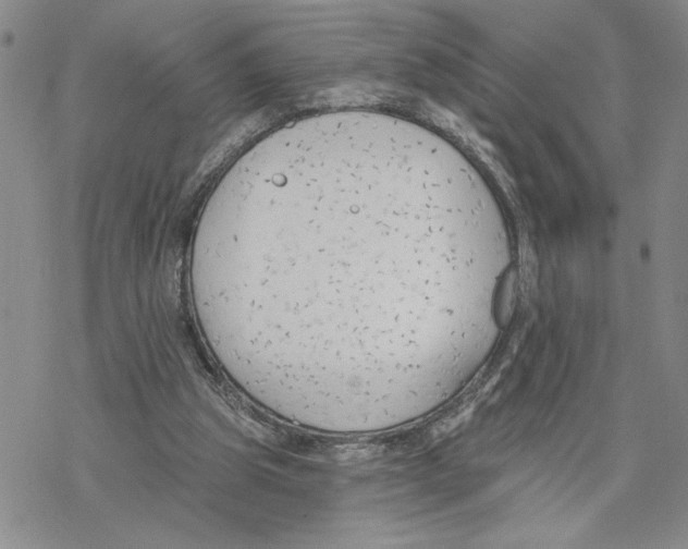 X0000069360153200606091610