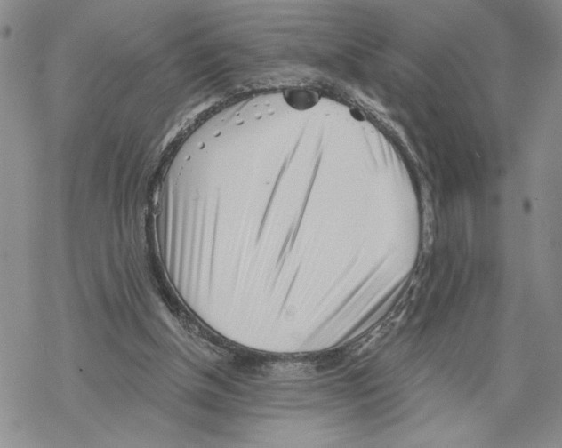 X0000069360154200606091610