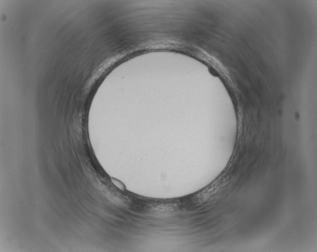 X0000069360155200606091610