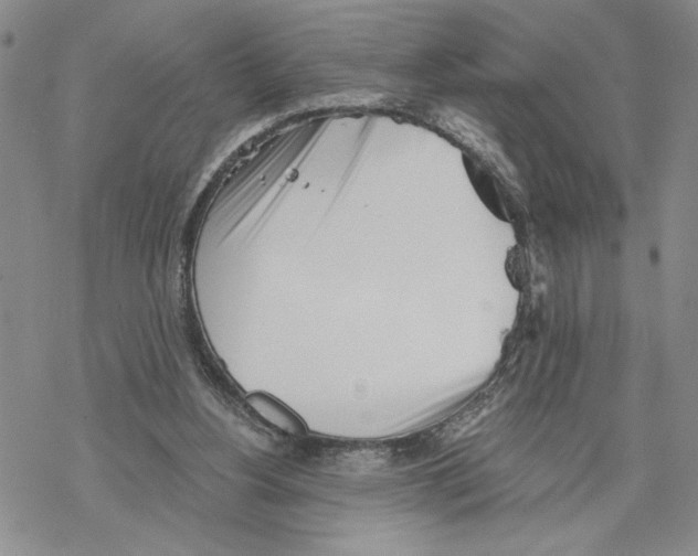 X0000069360156200606091610