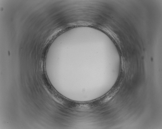 X0000069360157200606091610