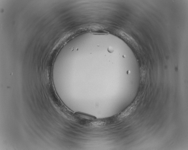 X0000069360158200606091610