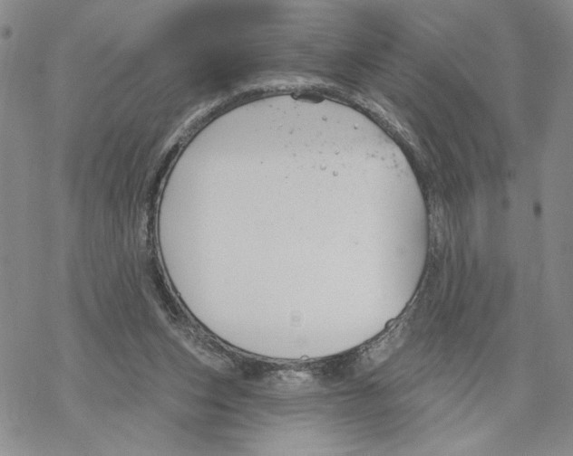 X0000069360159200606091610