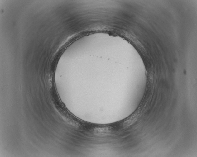 X0000069360160200606091610