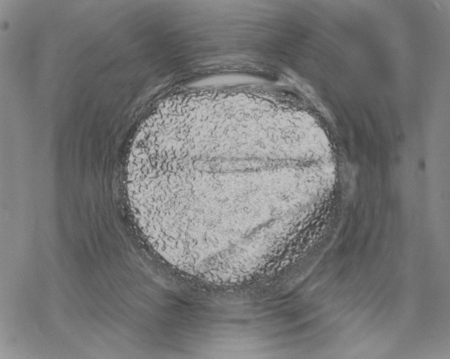 X0000069360161200606091610