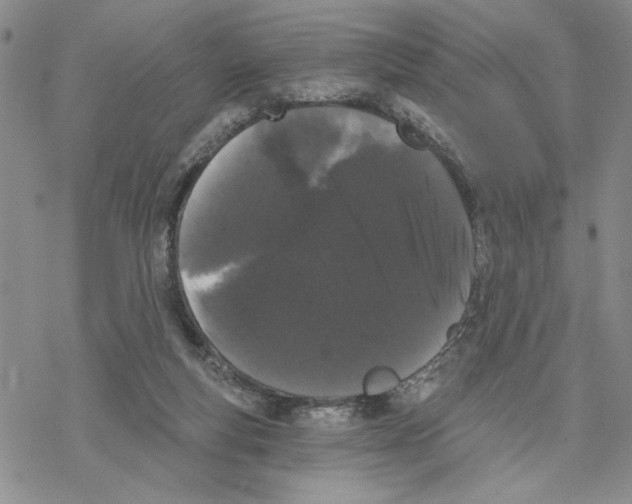 X0000069360163200606091610