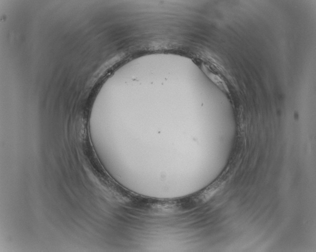 X0000069360164200606091610