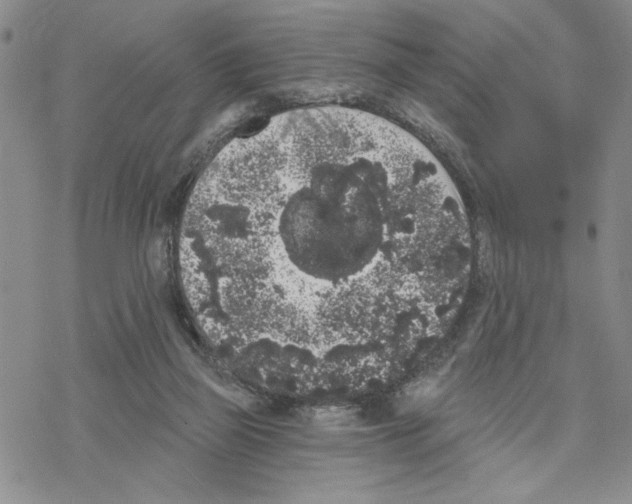 X0000069360165200606091610