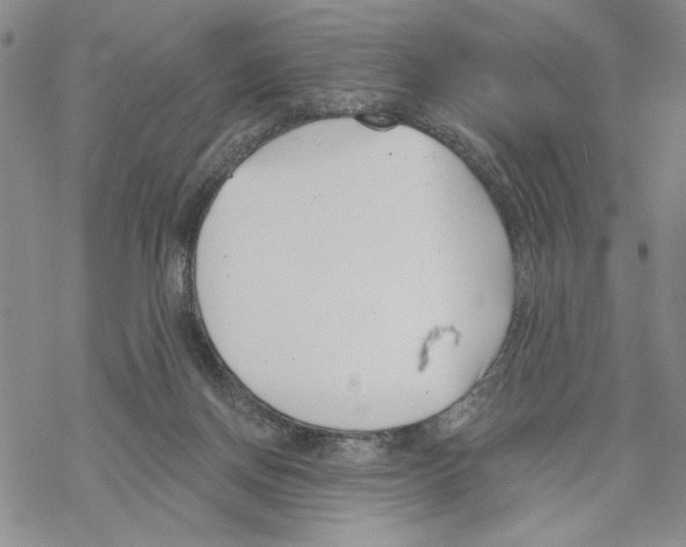 X0000069360166200606091610