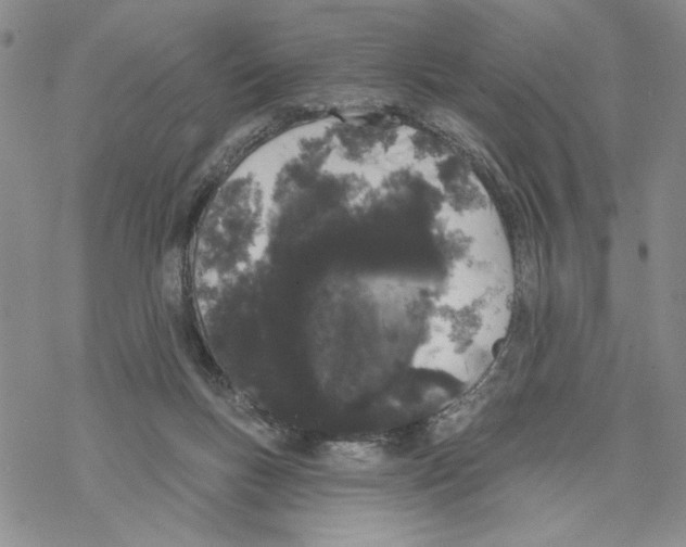 X0000069360167200606091610