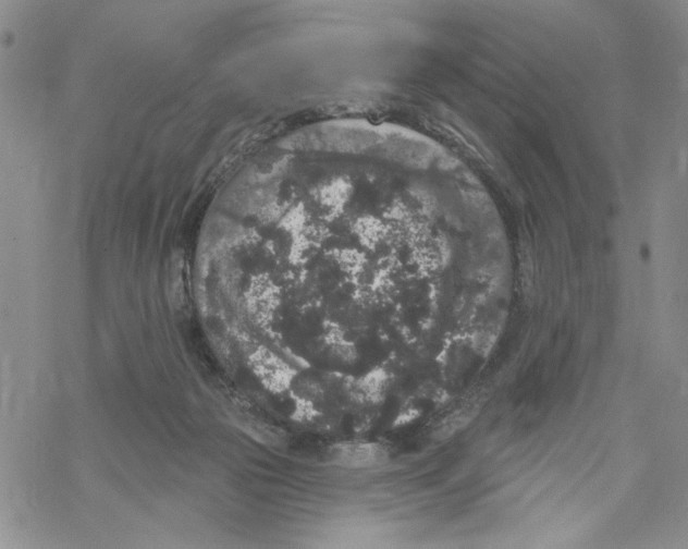 X0000069360169200606091610