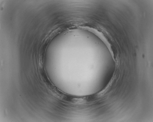 X0000069360170200606091610