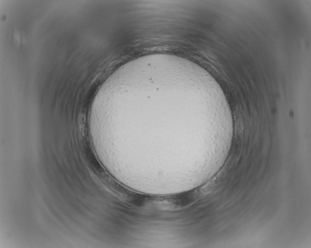 X0000069360171200606091610