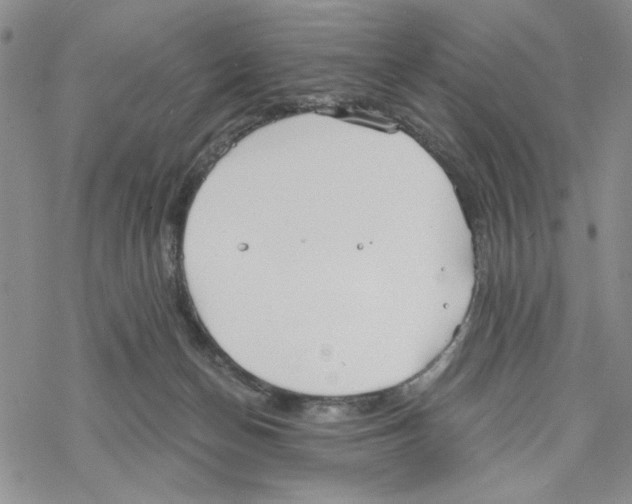 X0000069360174200606091610