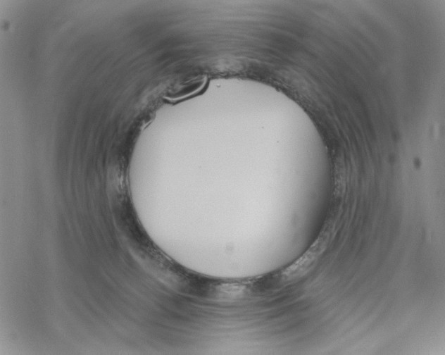 X0000069360176200606091610