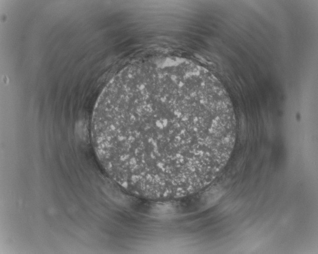 X0000069360177200606091610