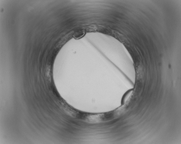 X0000069360178200606091610