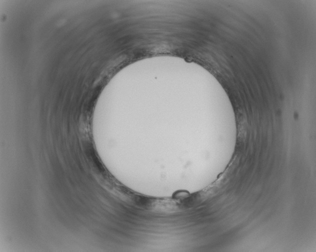 X0000069360179200606091610