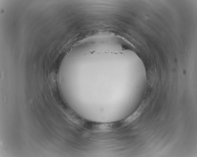 X0000069360184200606091610